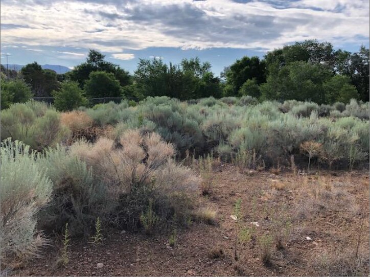 1556 Rodeo Rd, Santa Fe, NM 87507