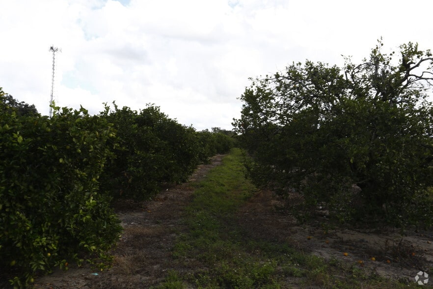 13-115 E 9th St, Frostproof, FL for sale - Building Photo - Image 2 of 3