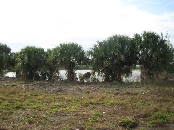 Okeechobee Rd, Okeechobee, FL for sale - Primary Photo - Image 1 of 1