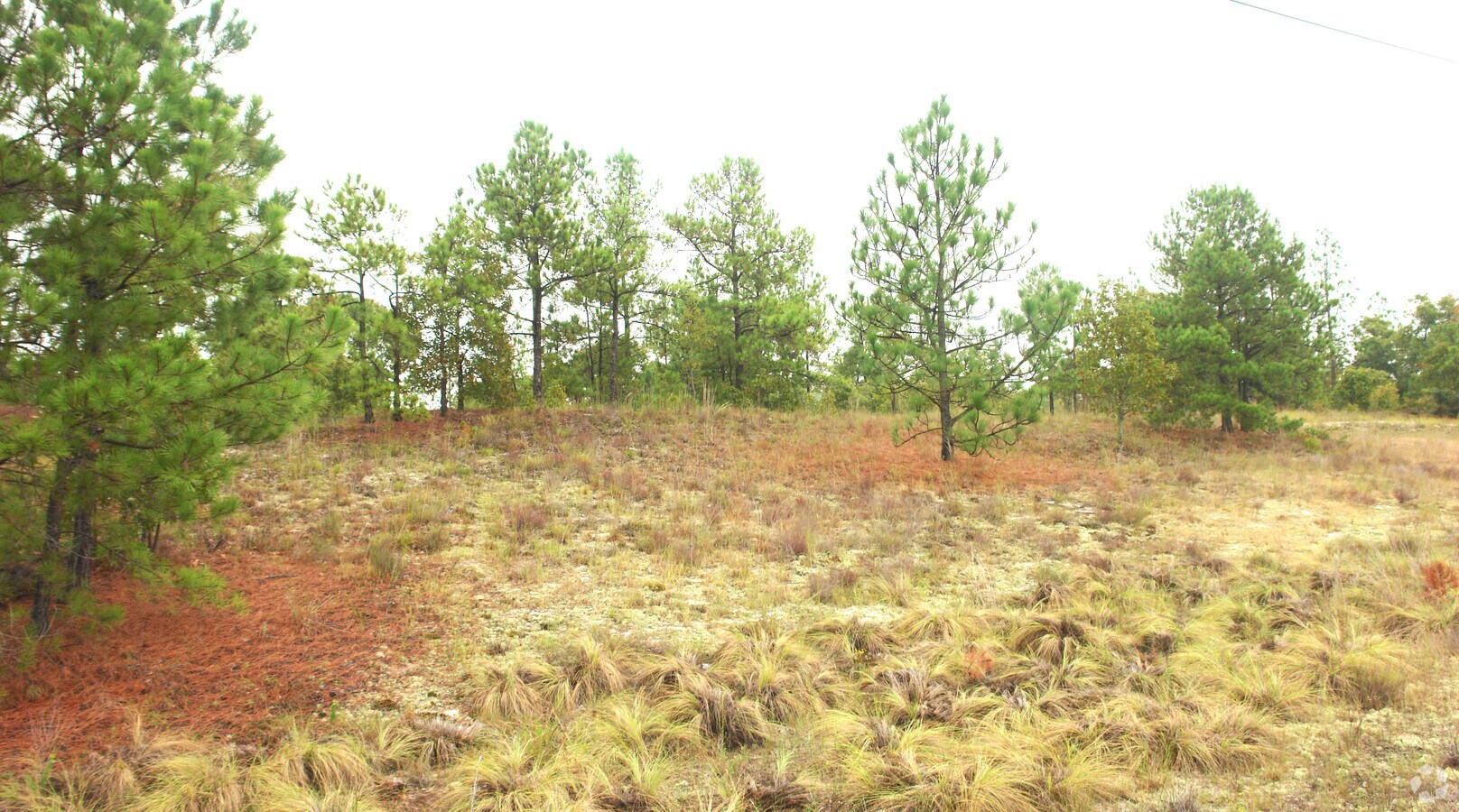 View Photo