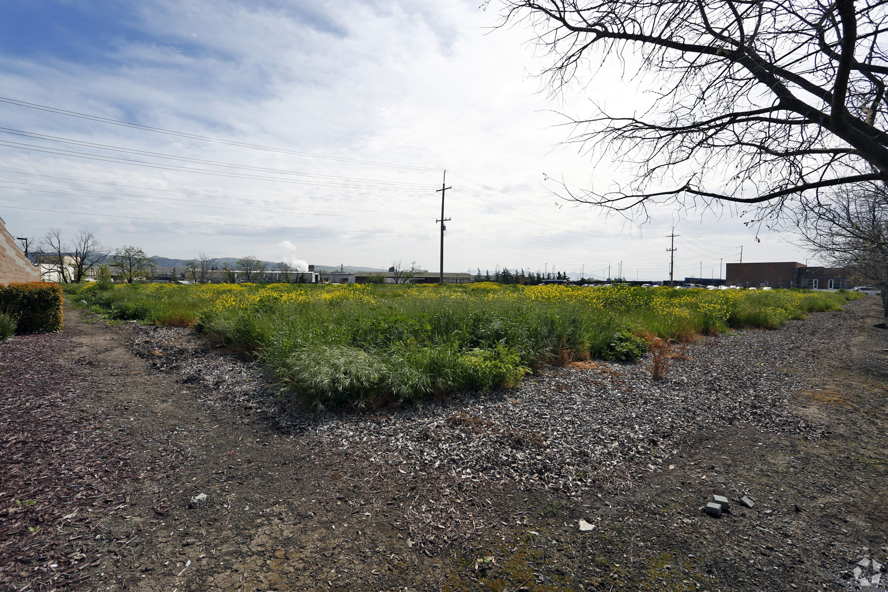 6300 Cameron Blvd, Gilroy, CA for sale Primary Photo- Image 1 of 1