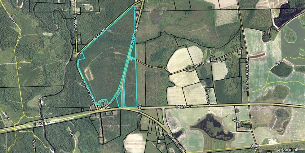 8 Acres Hwy 221 hwy, Lakeland, GA for sale - Aerial - Image 3 of 14