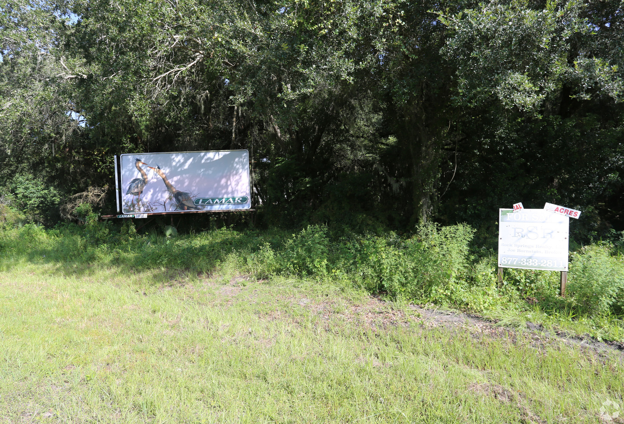 W Main St, Leesburg, FL for sale Primary Photo- Image 1 of 1