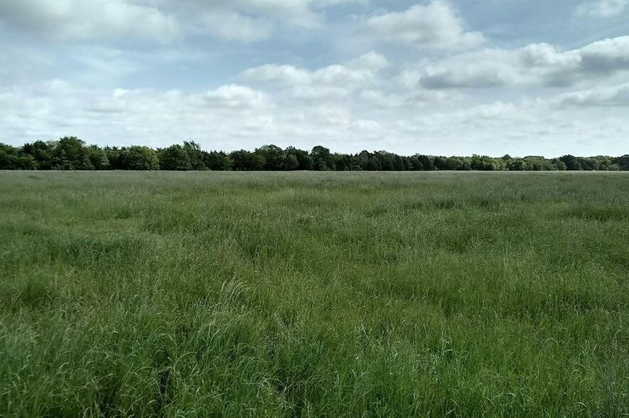 549 Cnty Rd 3808, Wills Point, TX for sale - Primary Photo - Image 1 of 1