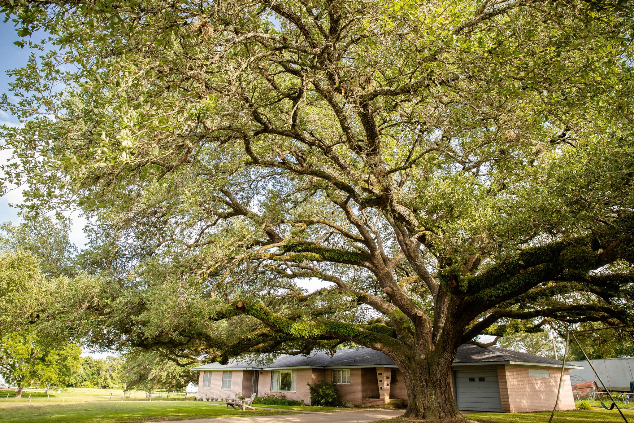 6673 Old Mill Creek Rd, Brenham, TX for sale Primary Photo- Image 1 of 1