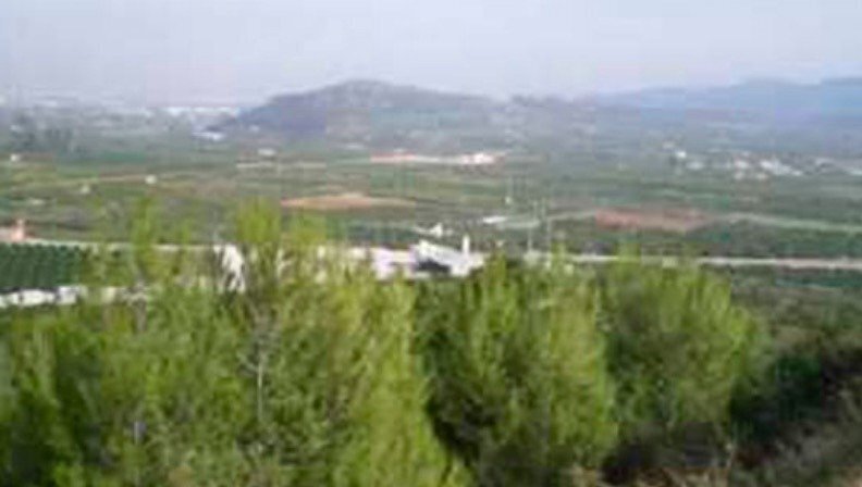 Carrer Llimera, 11, Ador, Valencia for sale - Building Photo - Image 2 of 3