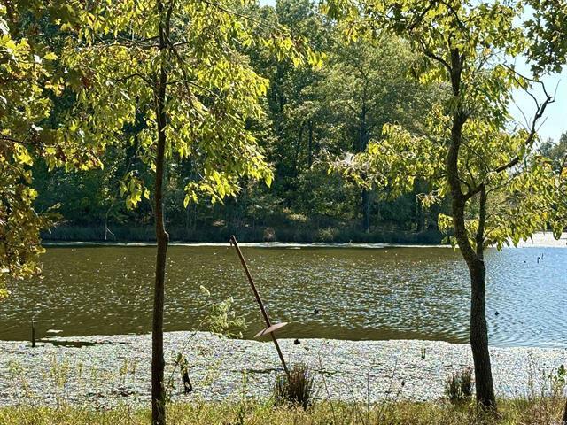 201 Morgan Loop Rd Rd, DeWitt, AR for sale - Building Photo - Image 3 of 5