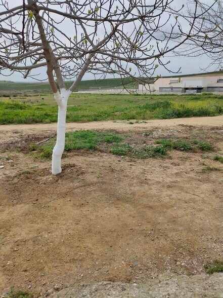 Land in Burguillos for sale - Building Photo - Image 3 of 19