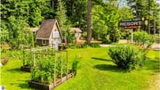 Paradise Pines Resort - Airbnb Property