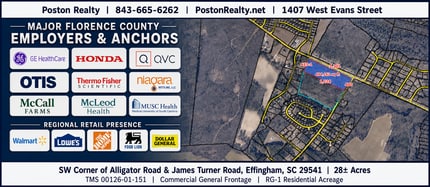 SW Alligator Rd, Effingham, SC - Aerial map view - Image1