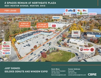 More details for 9201-9216 Mentor Ave, Mentor, OH - Retail for Lease