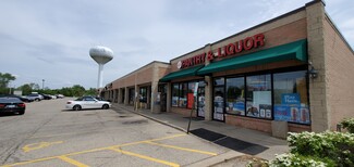 More details for 381-457 N Wilson Rd, Round Lake, IL - Retail for Lease