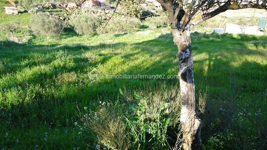 Land in Sierra de Fuentes for sale - Building Photo - Image 3 of 4