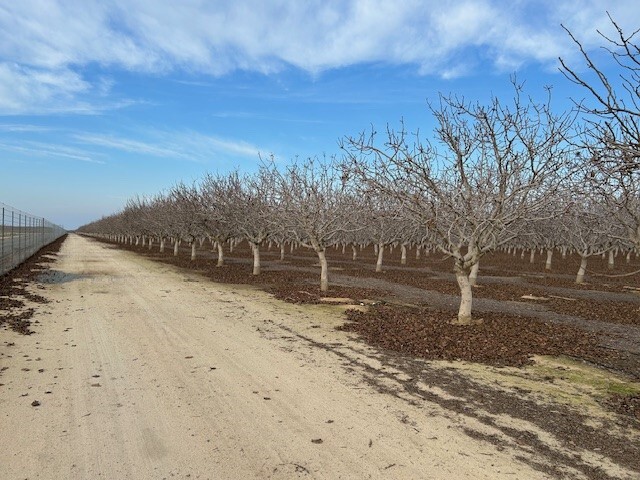 Bassett Ave, Delano, CA for sale - Building Photo - Image 2 of 6