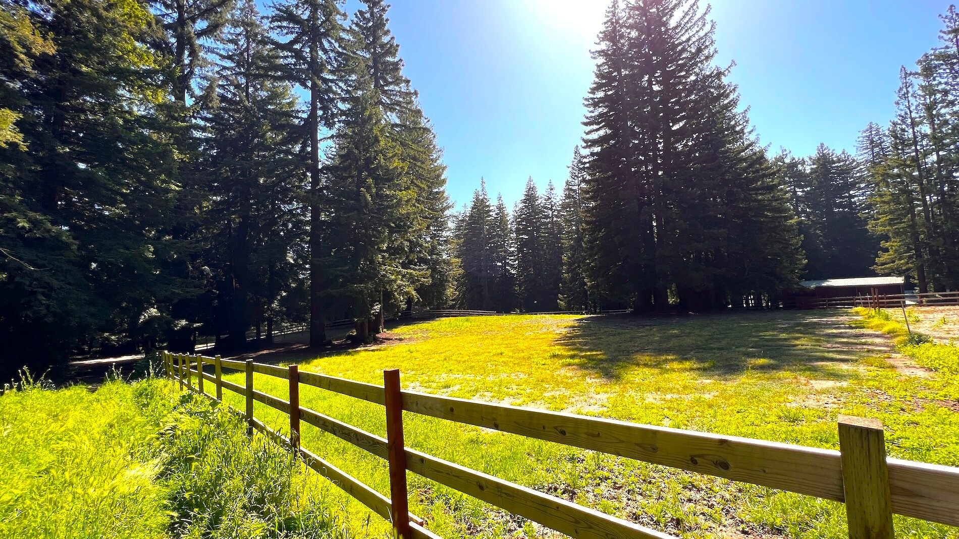 3675 Bonny Doon Rd, Santa Cruz, CA 95060 Bonny Doon Equestrian Park