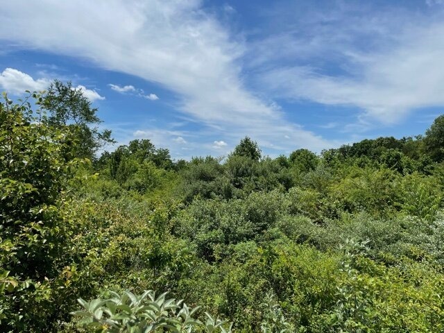 Layman Rd & Dennis, Athens, TN for sale - Primary Photo - Image 1 of 1