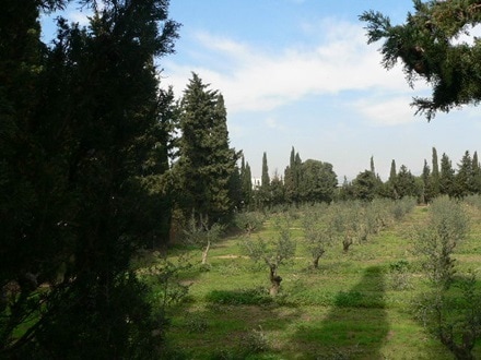 Land in Cambrils, Tarragona for sale - Interior Photo - Image 2 of 8