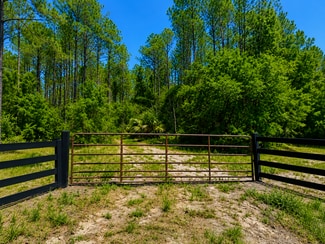 More details for NE 353 Hwy, Cross City, FL - Land for Sale