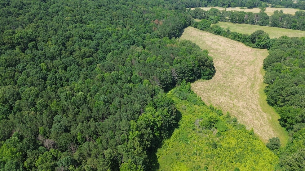 104 Kerrie Ln E, Boaz, AL for sale - Aerial - Image 2 of 7