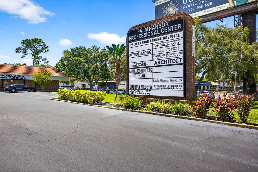 36310-36472 Us Hwy 19 N, Palm Harbor, FL for lease - Building Photo - Image 2 of 24