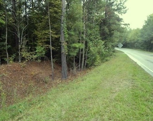 00 Chapin Rd, Chapin, SC for sale Primary Photo- Image 1 of 1