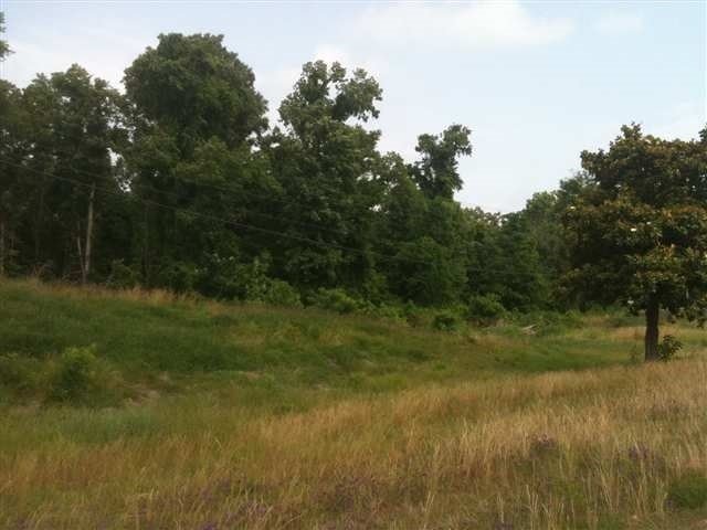 Hedges Highway 61 S, Natchez, MS for sale - Primary Photo - Image 1 of 4