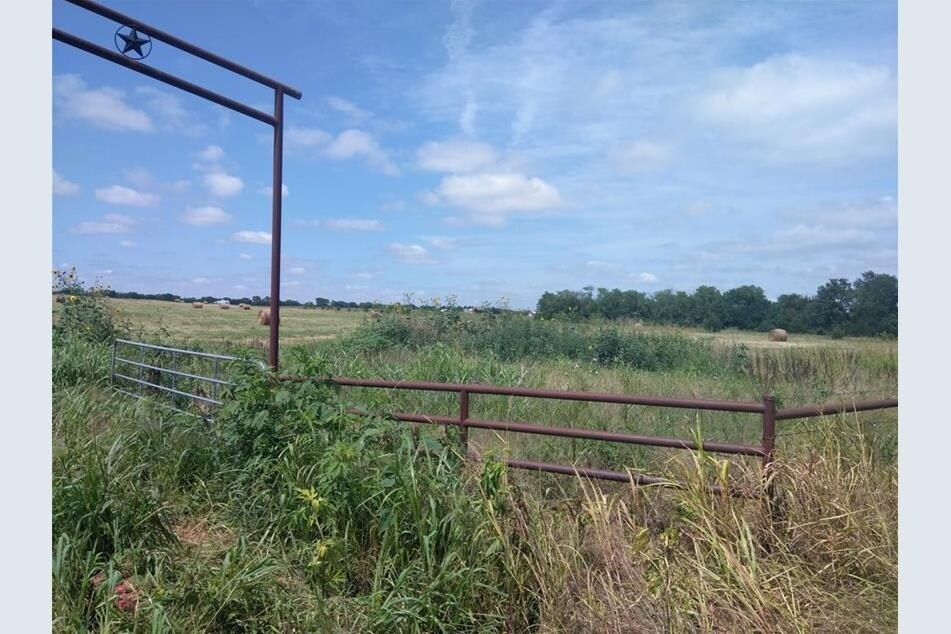 000 FM 3133, Van Alstyne, TX 75495 Land for Sale