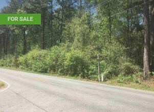 322 Golfview Dr, Griffin, GA for sale Other- Image 1 of 1