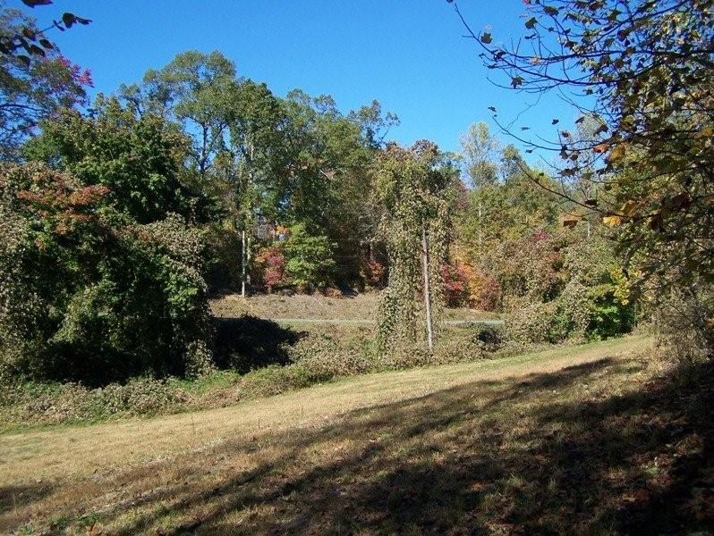 2101 Grassy Knob Rd, Mill Spring, NC for sale Primary Photo- Image 1 of 1