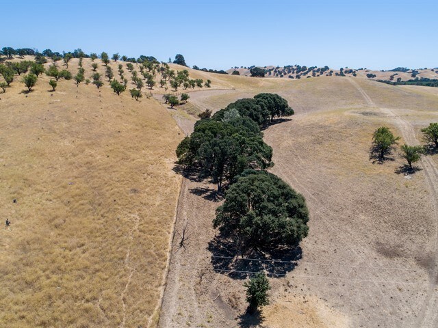 15875 State Highway 16, Capay, CA for sale - Primary Photo - Image 1 of 1