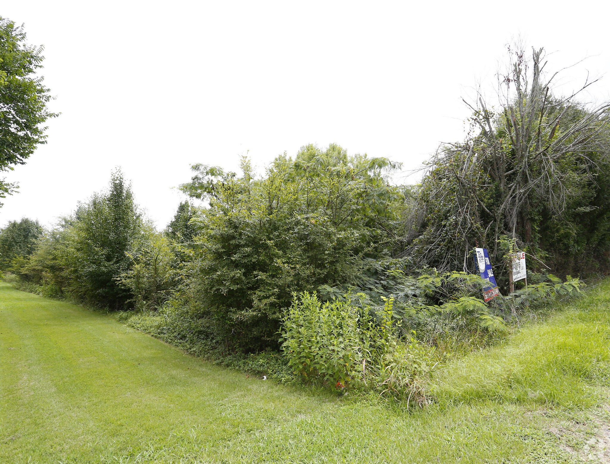 7785 Rocky River Rd, Concord, NC for sale Primary Photo- Image 1 of 1