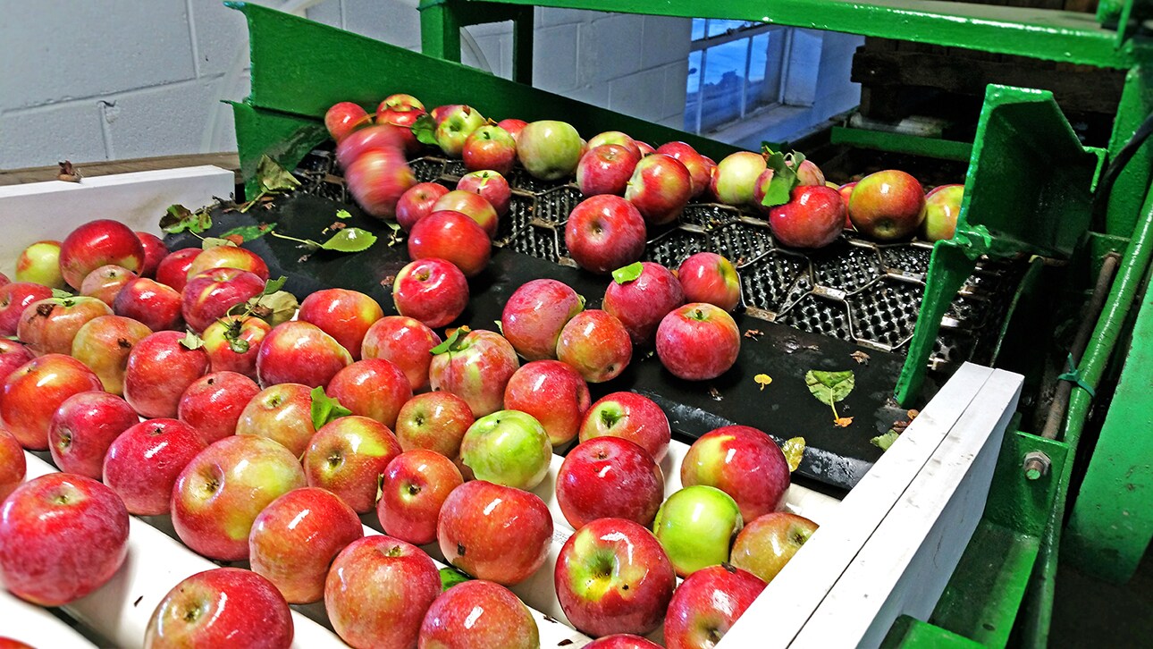 23 Bingham Rd, Marlboro, NY 12542 Truncali Farms