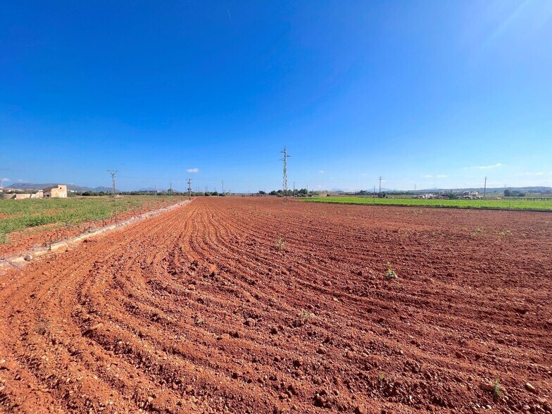 Land in Sa Pobla for sale - Site Plan - Image 2 of 13