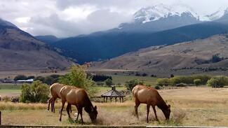 More details for 4 Maiden Basin Dr, Gardiner, MT - Hospitality for Sale