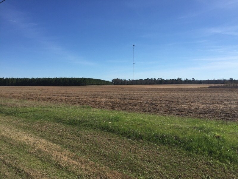 0 Old Highway 431, Kinsey, AL for sale Primary Photo- Image 1 of 1