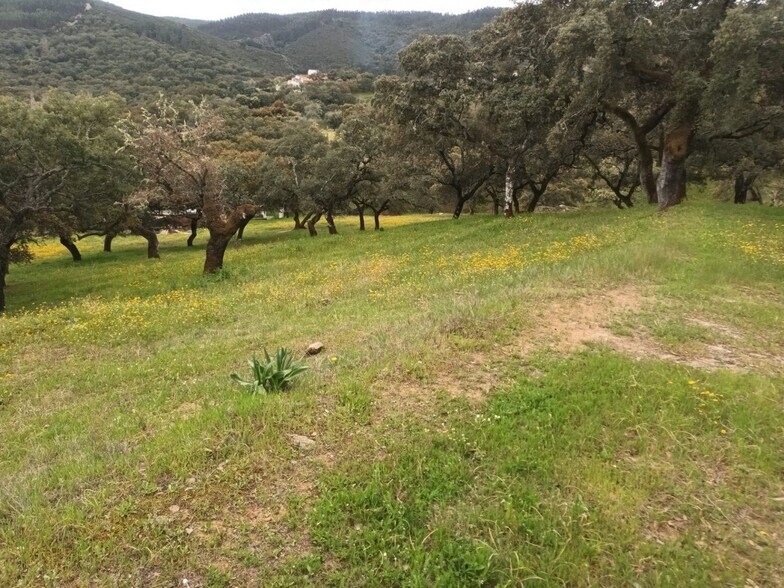 Land in Aracena, Huelva for sale - Building Photo - Image 3 of 6