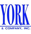 York & Company