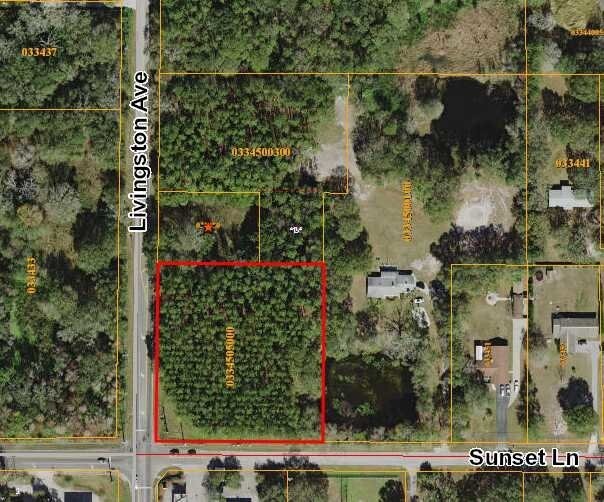 LIVINGSTON, Lutz, FL 33559