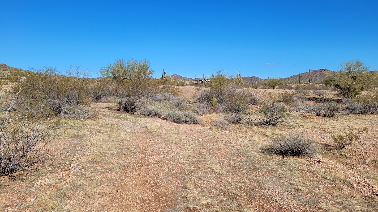 304XX W Carlise Rd, Wittmann, AZ 85361 Land for Sale