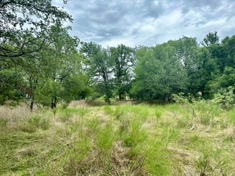 0 Decker Lake Rd. Pt, Manor, TX for sale - Building Photo - Image 2 of 15