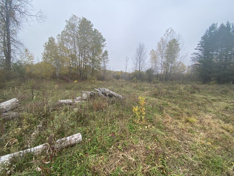 Caughdenoy Rd, Clay, NY for sale - Primary Photo - Image 1 of 22