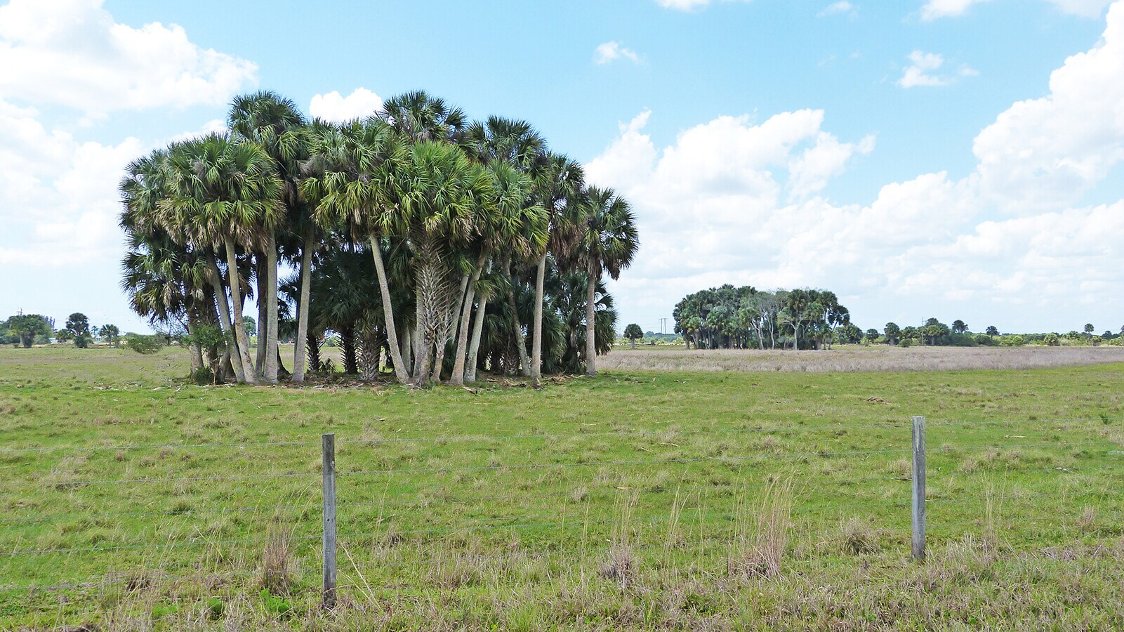 8590 Carlton Rd, Port Saint Lucie, FL 34987