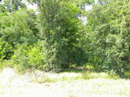 00 E Hwy 276, West Tawakoni, TX for sale Primary Photo- Image 1 of 1