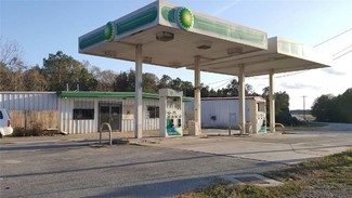 More details for 12626 Us Highway 221, Soperton, GA - Retail for Sale