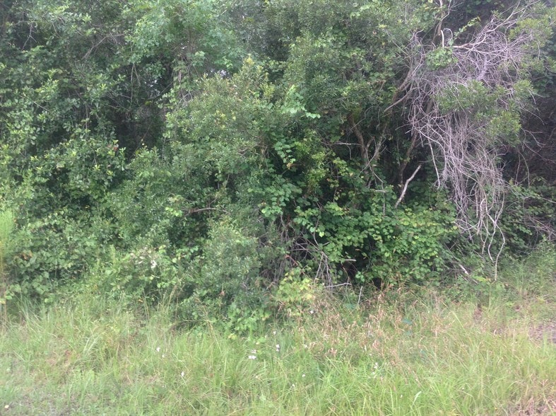 0 NW CR 125, Lawtey, FL 32058