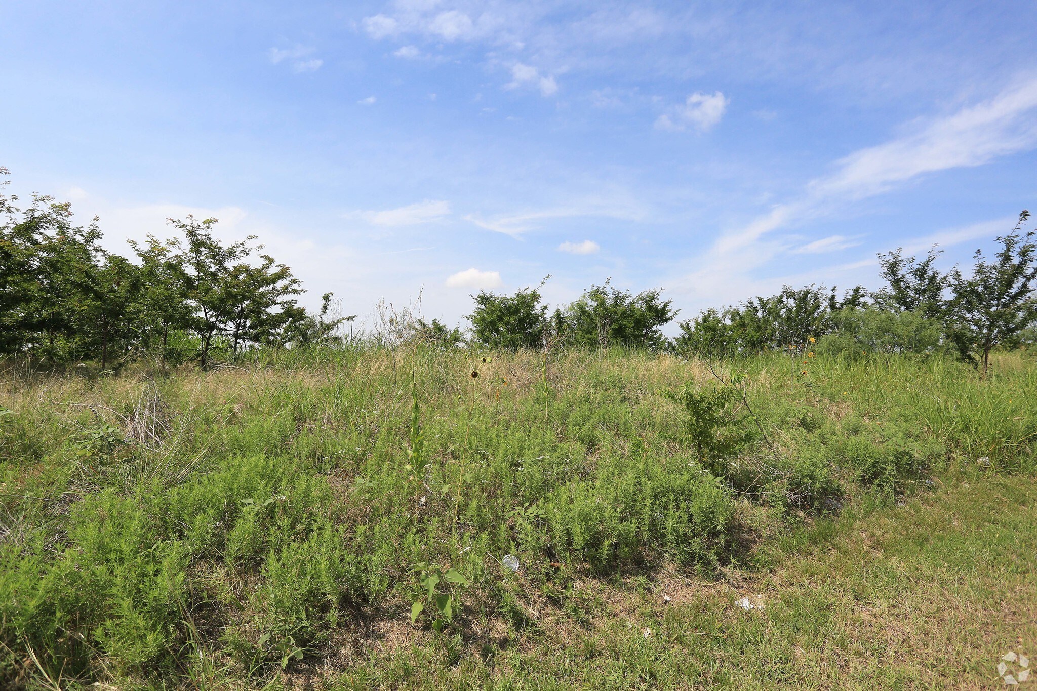 Route 287 Rt, Fort Worth, TX for sale Primary Photo- Image 1 of 1