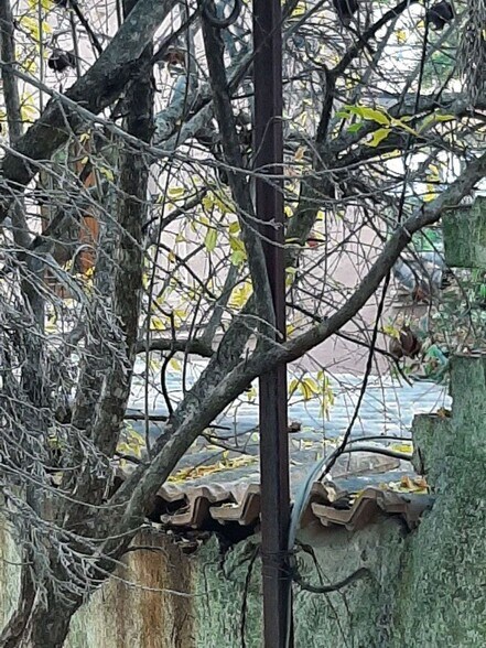 Land in Cáceres for sale - Building Photo - Image 3 of 7