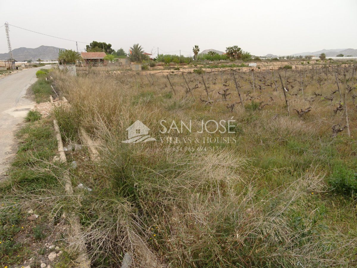 Land in Novelda for sale Building Photo- Image 1 of 9