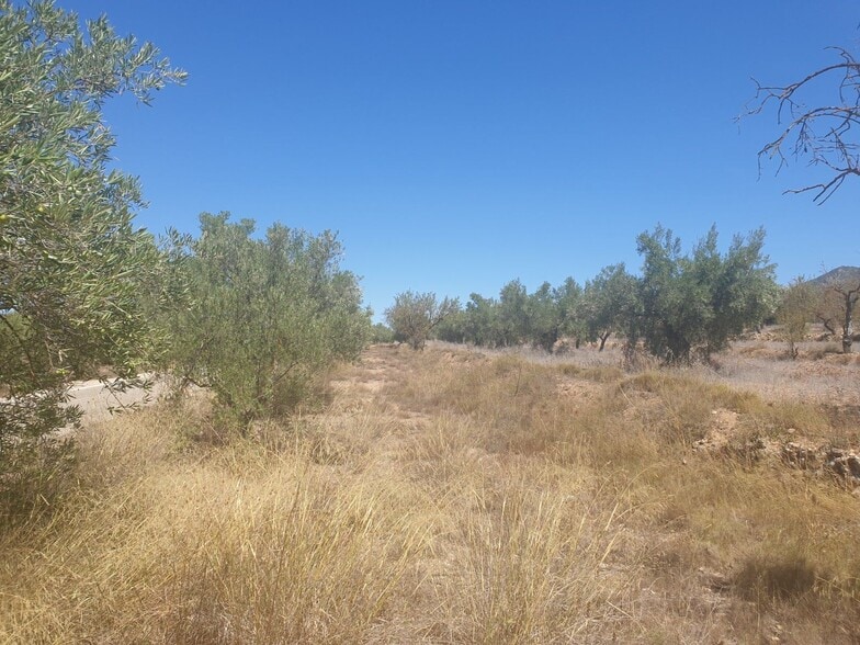 Land in Biar for sale - Building Photo - Image 2 of 6