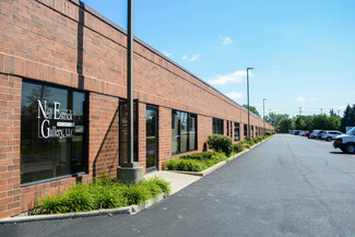 More details for 888 E Belvidere Rd, Grayslake, IL - Flex for Lease